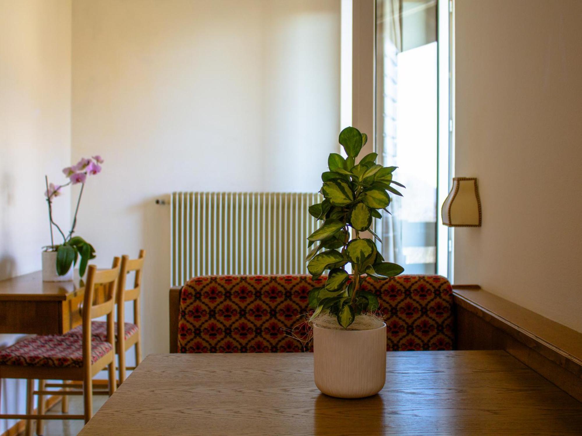 Locanda La Ruscoletta Telve Dış mekan fotoğraf