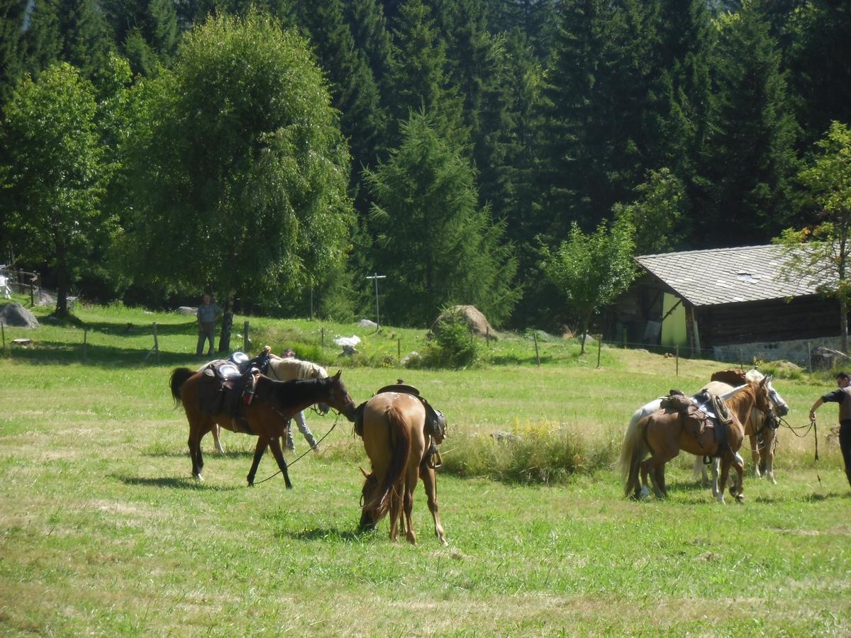 Locanda La Ruscoletta Telve Dış mekan fotoğraf